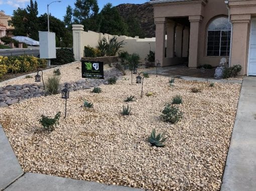 Drought Tolerant Landscape